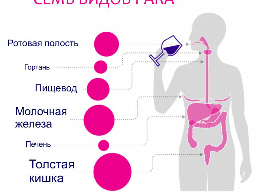 Факторы риска для жизни и здоровья граждан , возникающих при употреблении алкогольной продукции